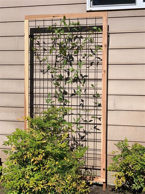 how to build a trellis for vines.